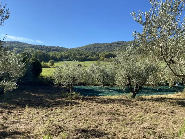 Fieno Biologico Tenuta Poggio dei Cavalli