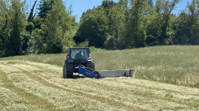 Campi coltivati Tenuta Poggio dei Cavalli