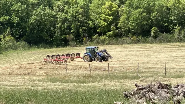Balle di fieno Tenuta Poggio dei Cavalli
