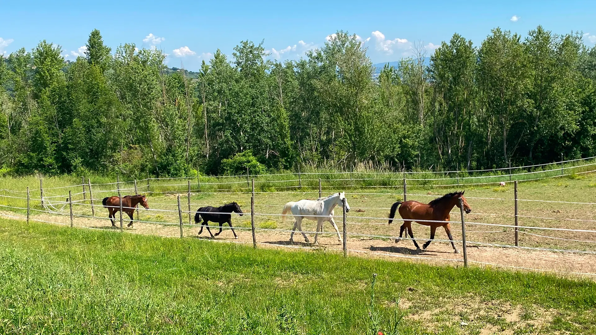 Tenuta Poggio Cavalli - Relax
