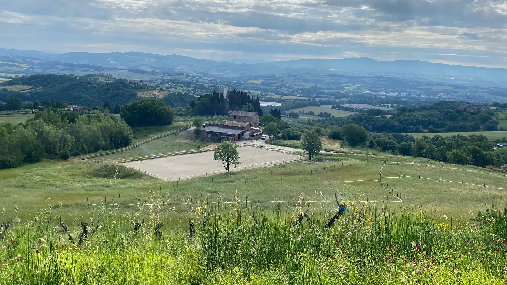 Tenuta Poggio Cavalli - Horses