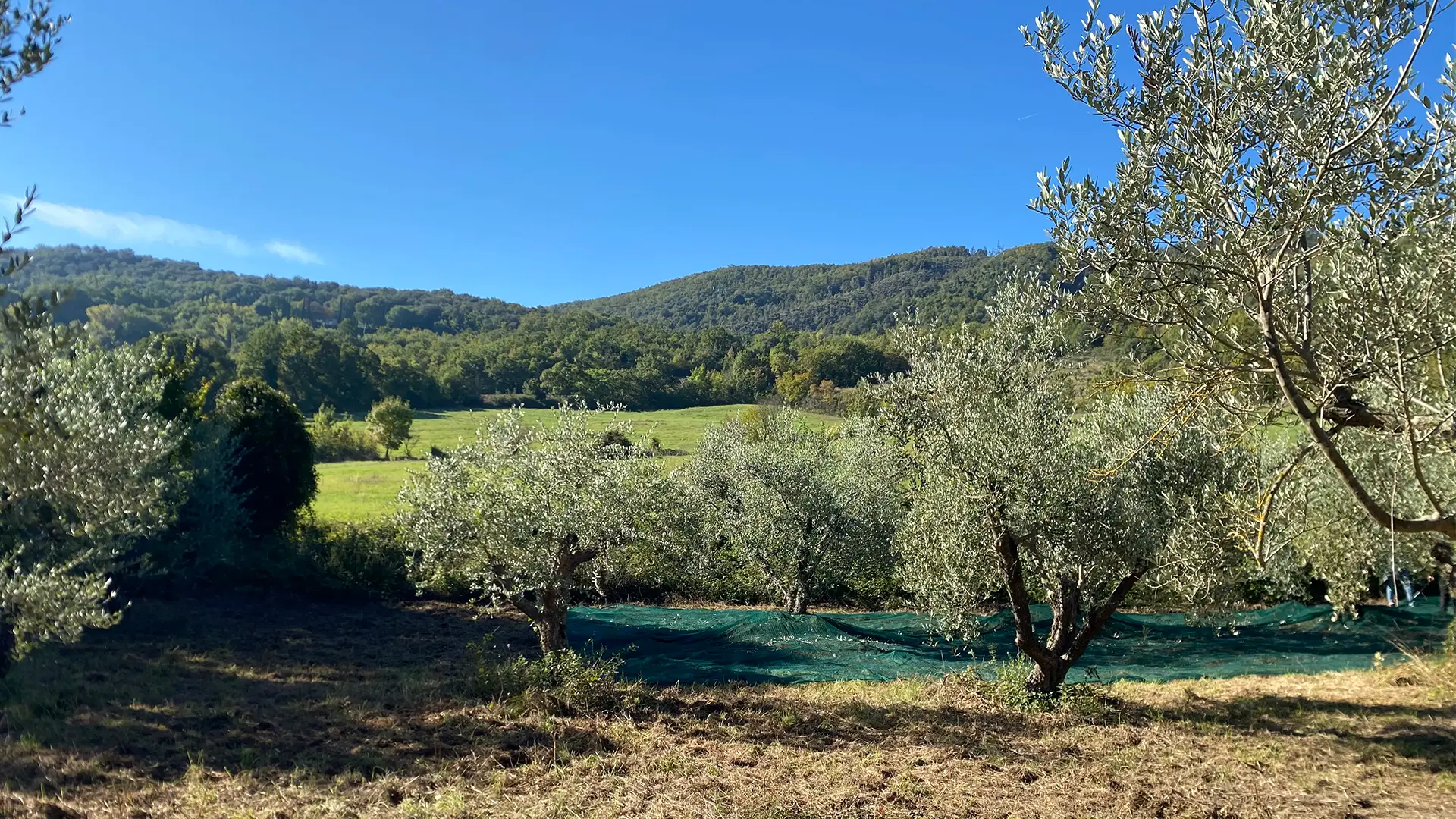 Tenuta Poggio Cavalli - Nature