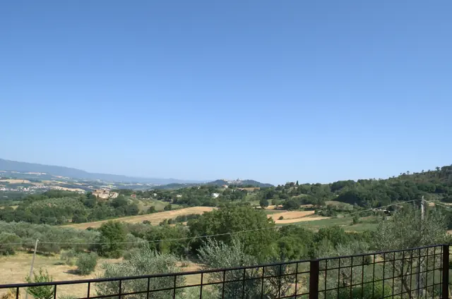 Viale d'ingresso Agriturismo