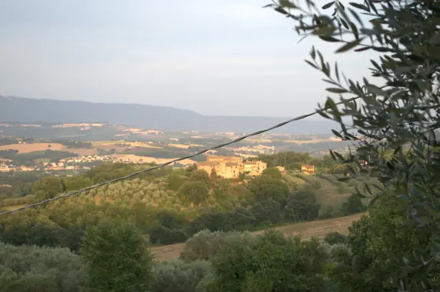 Dettagli casale agriturismo
